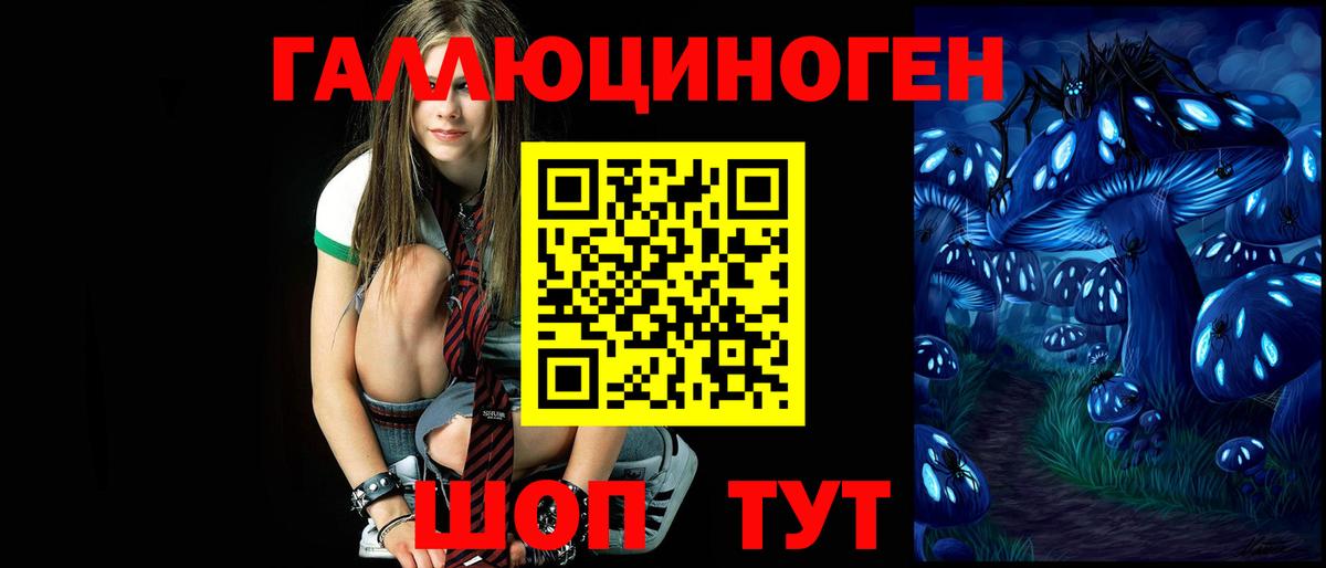 Псилоцибиновые грибы прущие грибы Рассказово