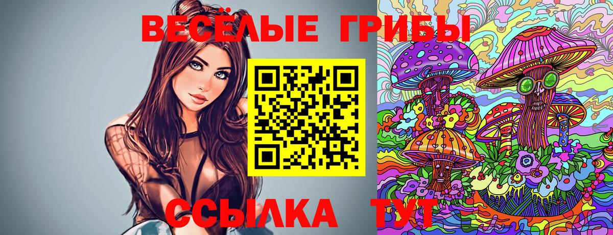 Галлюциногенные грибы прущие грибы  Вход с VPN  Рассказово  Галлюциногенные грибы Cubensis 